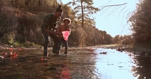 Pêche père et fils avec filet de pêche dans la rivière de montagne — Video