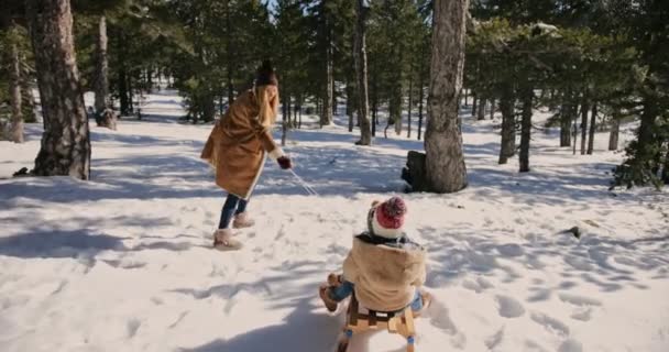 Moeder en kinderen hebben plezier met slee in snowy park — Stockvideo