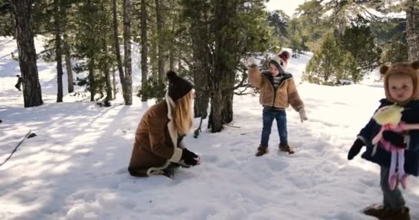 Οικογένεια διασκεδάζει με χιονοπόλεμο στο δάσος — Αρχείο Βίντεο