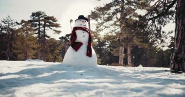 Kardan adam güneşli bir kış gününde parkı kapladı.