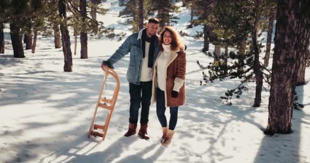 Feliz pareja joven con trineo de pie en el parque del bosque nevado — Vídeos de Stock