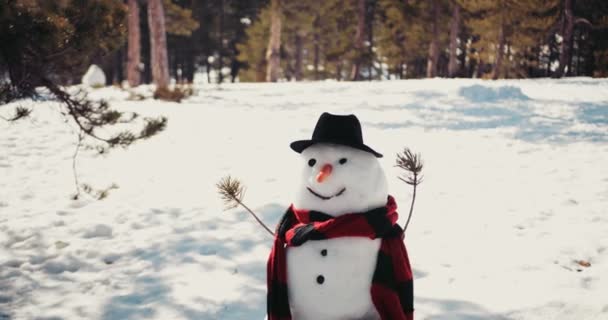 Boneco de neve sorridente no parque de inverno coberto de neve — Vídeo de Stock