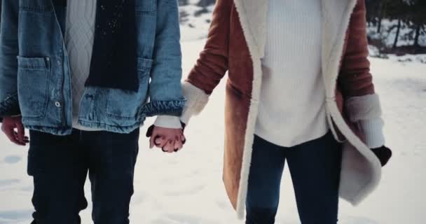 Loving couple holding hands and walking in snow covered park — Stock Video
