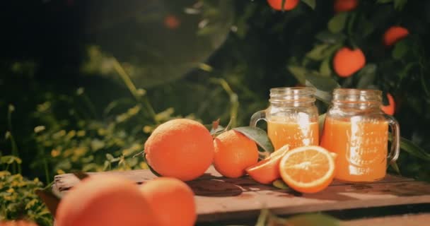 Χυμός πορτοκαλιού και πορτοκάλια σε ξύλινο τραπέζι στη φύση — Αρχείο Βίντεο