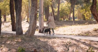 Sonbaharda parkta köpeği gezdiren zarif olgun bir kadın.