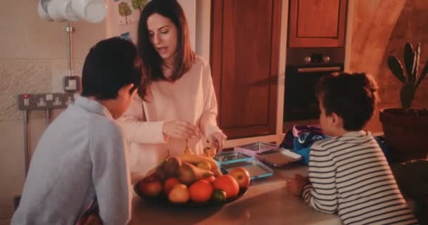 Młoda matka przygotowuje pudełka śniadaniowe ze zdrową żywnością dla dzieci — Wideo stockowe