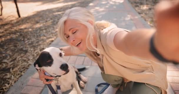 Mulher sênior na moda feliz que toma selfies com o cão na natureza — Vídeo de Stock