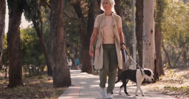 Madura perra paseante perro paseante en el campo — Vídeos de Stock