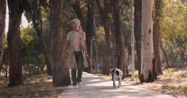 Mulher sênior na moda que tem um passeio com o cão no parque — Vídeo de Stock