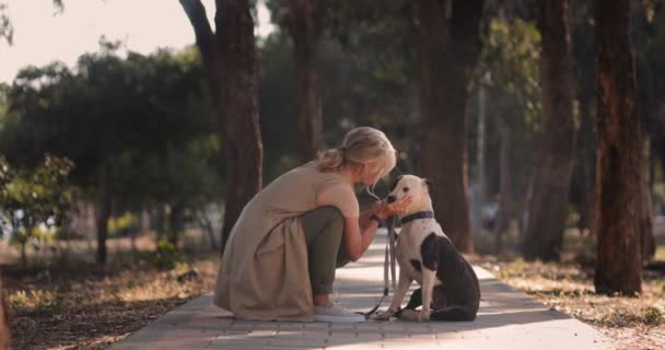 木の間の歩道に犬を撫でる愛情のあるシニア女性 — ストック動画