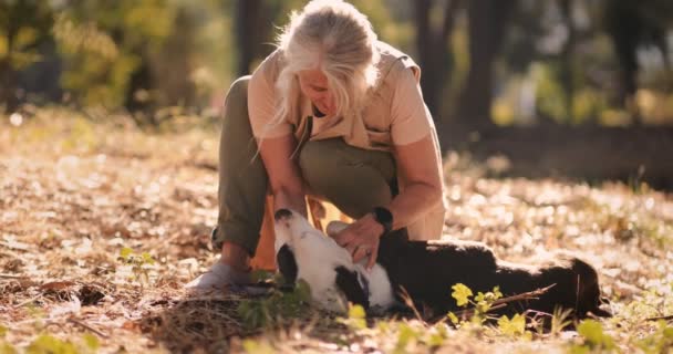Fashionable mature woman with smartwatch petting dog in the countryside — Stock Video