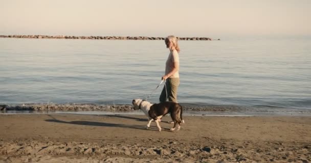 Mature woman walking on the beach with dog at sunset — Stock Video