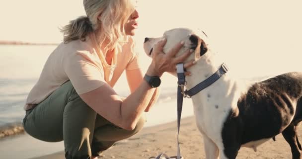 Boldog idős nő simogató kutya a strandon naplementekor — Stock videók