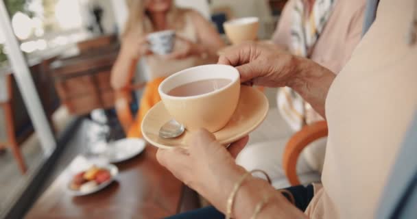Зрелые женщины пьют кофе вместе дома — стоковое видео