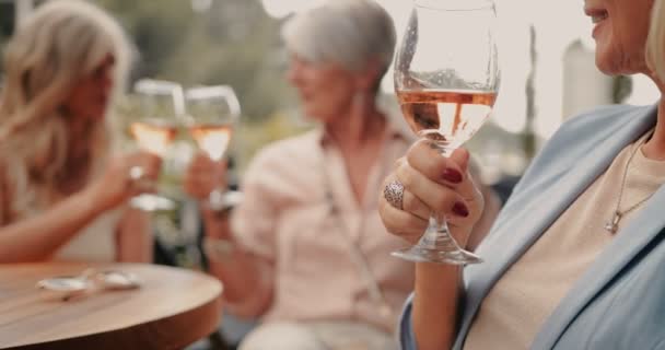 Senior woman holding glass of wine with friends in background — Stock Video