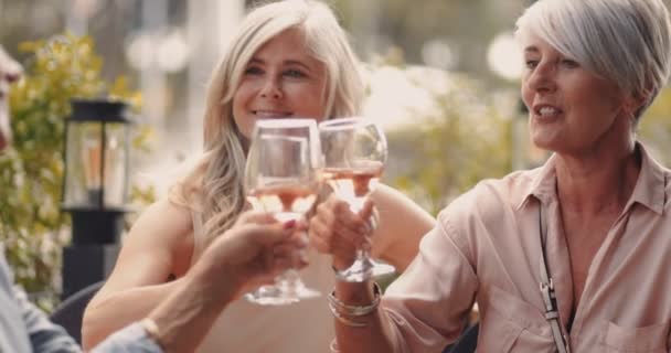 Elegant senior friends toasting and enjoying glass of wine together — Stock Video
