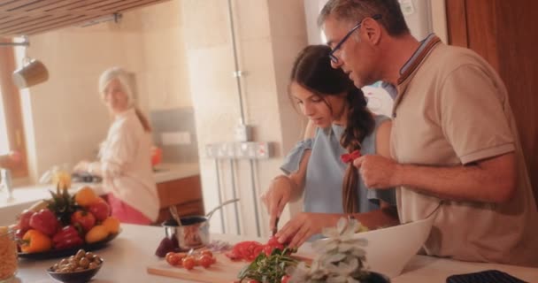 Adolescente petite-fille apprendre à cuisiner avec grand-père dans la cuisine — Video