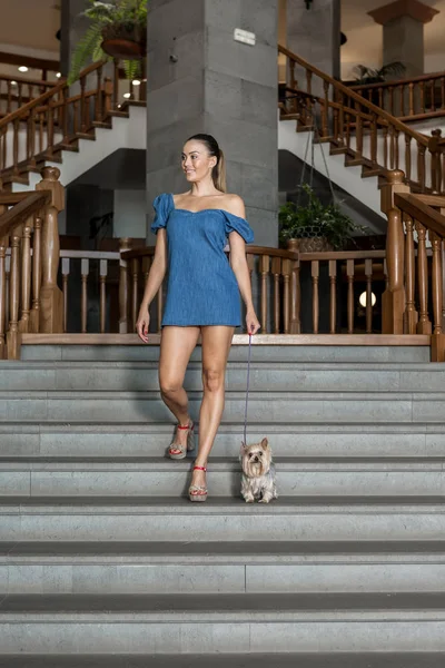 Merdivenlerden aşağı yürüyen köpek ile gülümseyen kadın