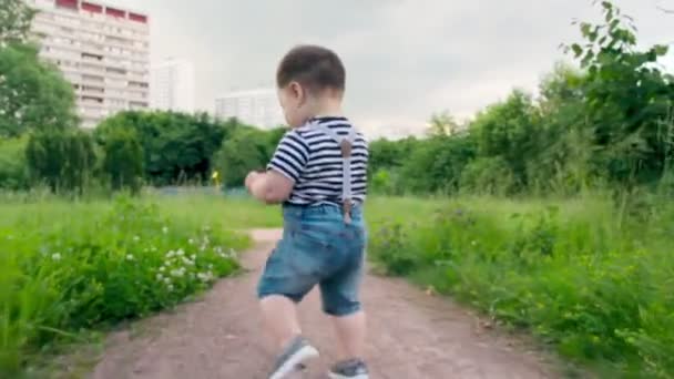Engraçado pequena criança loira branca aprende a andar no parque, dar os primeiros passos e cair sem manter o equilíbrio no gramado verde . — Vídeo de Stock