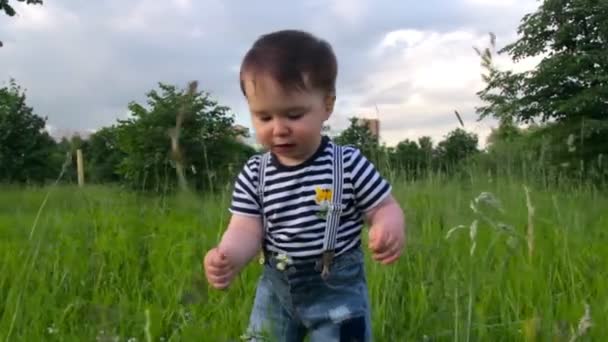 Rapaz bonito, filho pequeno, na grama, estudando a grama em um parque da cidade em um dia ensolarado quente. A criança gosta da vida, uma infância feliz . — Vídeo de Stock