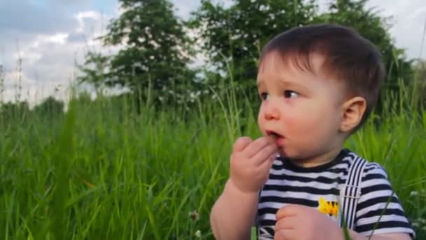 Rapaz bonito, filho pequeno, na grama, estudando a grama em um parque da cidade em um dia ensolarado quente. A criança gosta da vida, uma infância feliz . — Vídeo de Stock