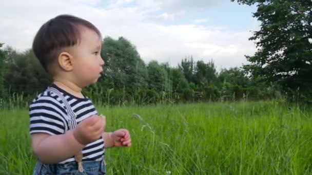 Rapaz bonito, filho pequeno, na grama, estudando a grama em um parque da cidade em um dia ensolarado quente. A criança gosta da vida, uma infância feliz . — Vídeo de Stock