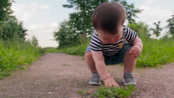 Roztomilý chlapec, malý syn, na trávě, studuje trávu v městském parku za teplého slunečného dne. Dítě si užívá života, šťastného dětství. — Stock video