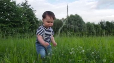 Sevimli çocuk, küçük oğlan, çimlerin üzerinde, güneşli bir günde şehir parkında çimenleri inceliyor. Çocuk hayatın tadını çıkarıyor, mutlu bir çocukluk..