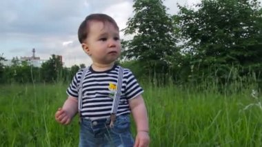 Sevimli çocuk, küçük oğlan, çimlerin üzerinde, güneşli bir günde şehir parkında çimenleri inceliyor. Çocuk hayatın tadını çıkarıyor, mutlu bir çocukluk..