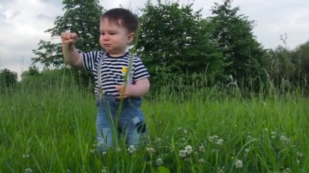 Rapaz bonito, filho pequeno, na grama, estudando a grama em um parque da cidade em um dia ensolarado quente. A criança gosta da vida, uma infância feliz . — Vídeo de Stock