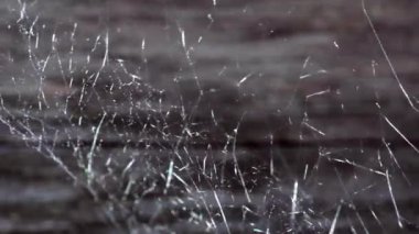 Kırsal kesimdeki örümcek ağı, eski bir tahtanın arka planına karşı.