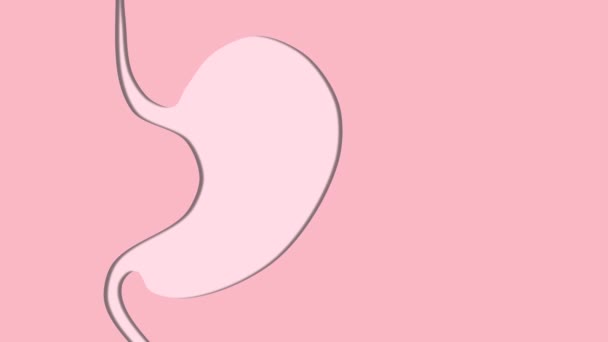 Stomach loop animation in pink colors — Stock Video