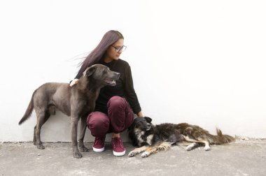 Beyaz arka planda sevgili hayvanları olan köpek koruyucusu kız sağa bakıyor.