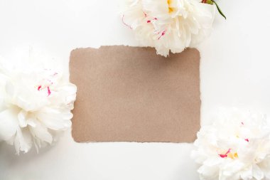 Beyaz arka planda karton ve şakayık çiçekleri