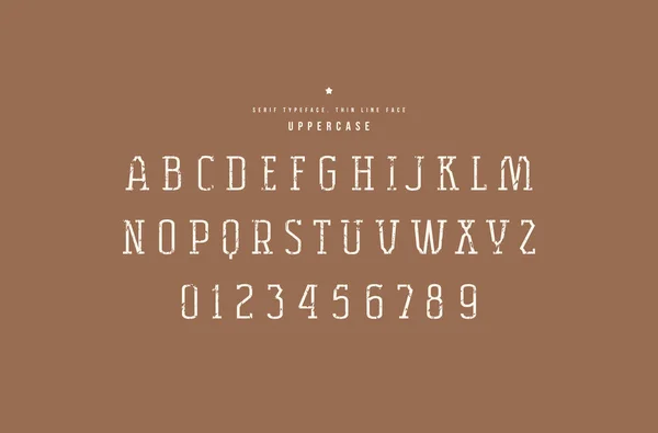 Fuente Original Serif Cara Delgada Letras Números Con Textura Áspera — Vector de stock