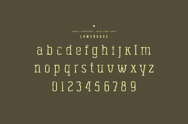 Fuente Original Serif Cara Delgada Letras Minúsculas Números Con Textura — Vector de stock