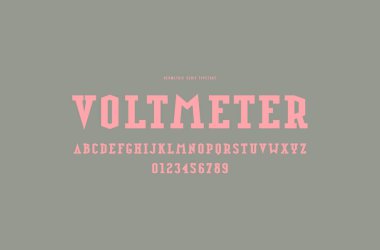 Serif yazı tipi askeri stilde levha. Harf ve rakam logo ve amblem tasarımı için. Pembe gri arka plan üzerinde yazdırma