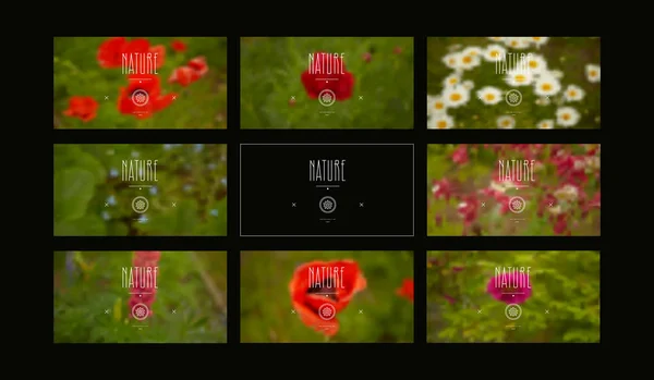 Набор размытых фонов с изображением цветов — стоковый вектор