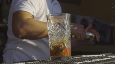 Bir barmene güneş ışığı, bir örgü örüyor.