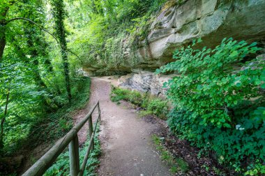 Doğa rezervi Aachtobel Owingen Gölü yakınlarında Constance Gölü, Yukarı Bataklık
