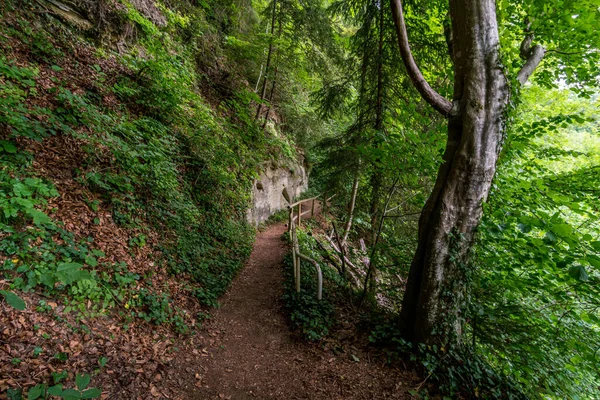 Réserve Naturelle Aachtobel Près Owingen Sur Lac Constance Haute Souabe — Photo