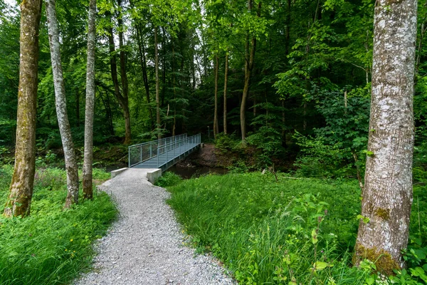 Přírodní Rezervace Aachtobel Owingenu Bodamském Jezeře Horní Švábsko — Stock fotografie