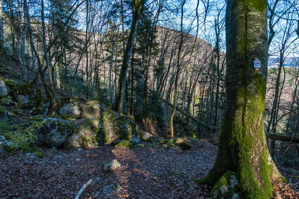 Fantastica Escursione Sull Albo Svevo Fino Alle Rovine Schalksburg Vicino — Foto Stock