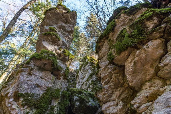 Randonnée Fantastique Sur Alb Souabe Jusqu Aux Ruines Schalksburg Près — Photo