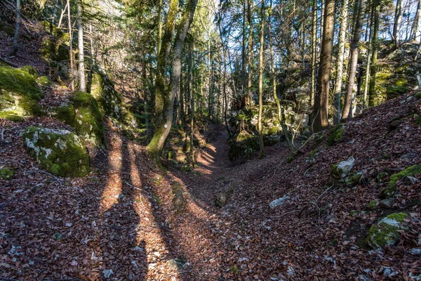 Traumhafte Wanderung Auf Der Schwäbischen Alb Zur Ruine Schalksburg Bei — Stockfoto