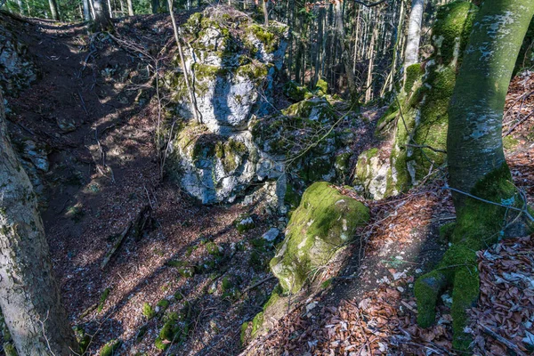 Randonnée Fantastique Sur Alb Souabe Jusqu Aux Ruines Schalksburg Près — Photo