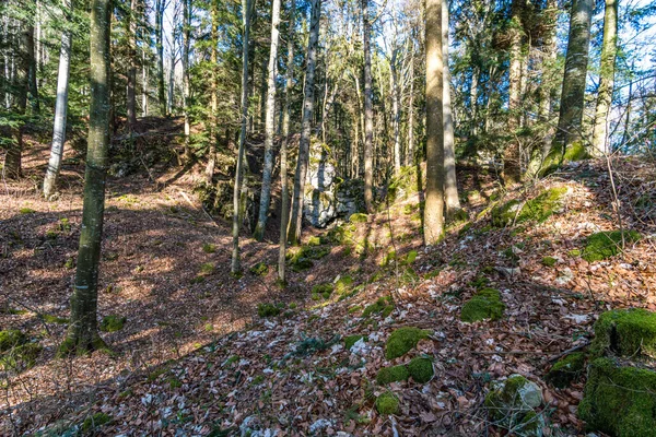 Randonnée Fantastique Sur Alb Souabe Jusqu Aux Ruines Schalksburg Près — Photo