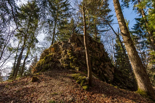 Randonnée Fantastique Sur Alb Souabe Jusqu Aux Ruines Schalksburg Près — Photo