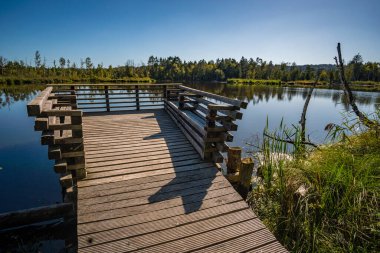 Sonbaharda Prunger-Burgweiler-Ried doğa koruma alanında fantastik bir yürüyüş.