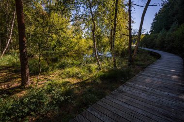 Sonbaharda Prunger-Burgweiler-Ried doğa koruma alanında fantastik bir yürüyüş.